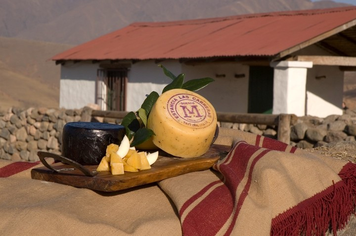 La Indicación Geográfica del queso del Tafí llegó en marzo de este año.
