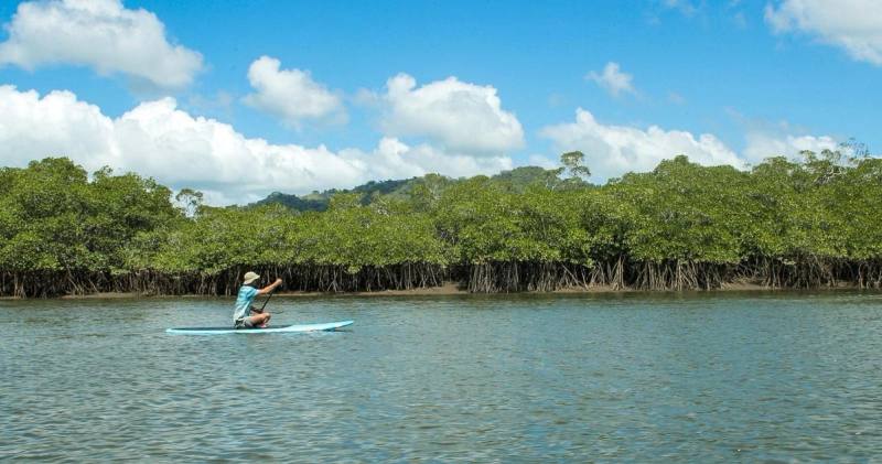 Paddling on the river near Cañas