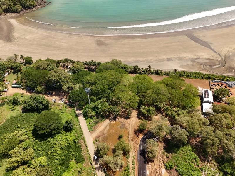 The greenery and river mouth behind the beach