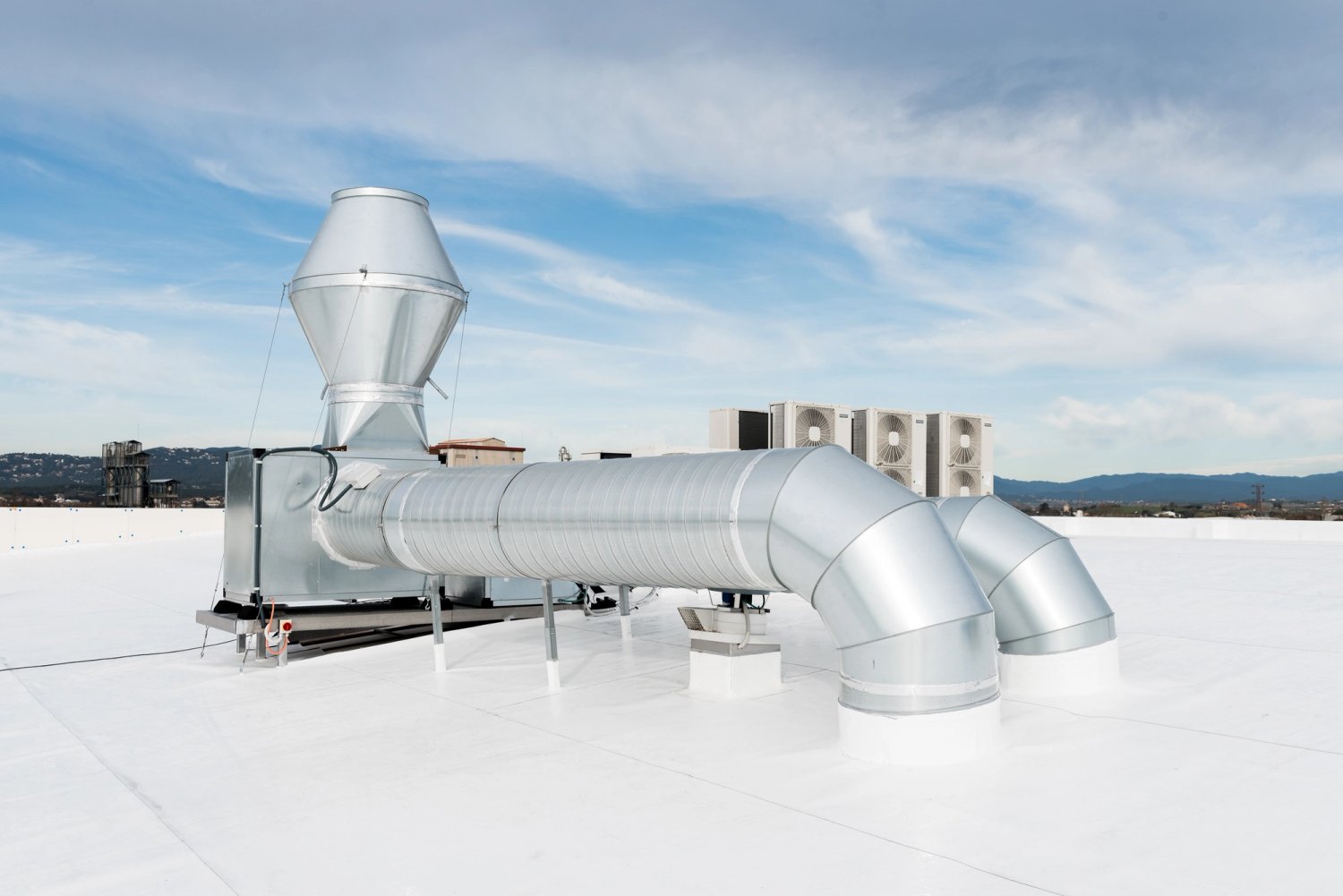 230313_Morgui_Konig_024_HD