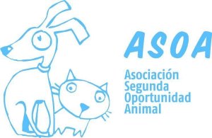 Logo-ASOA