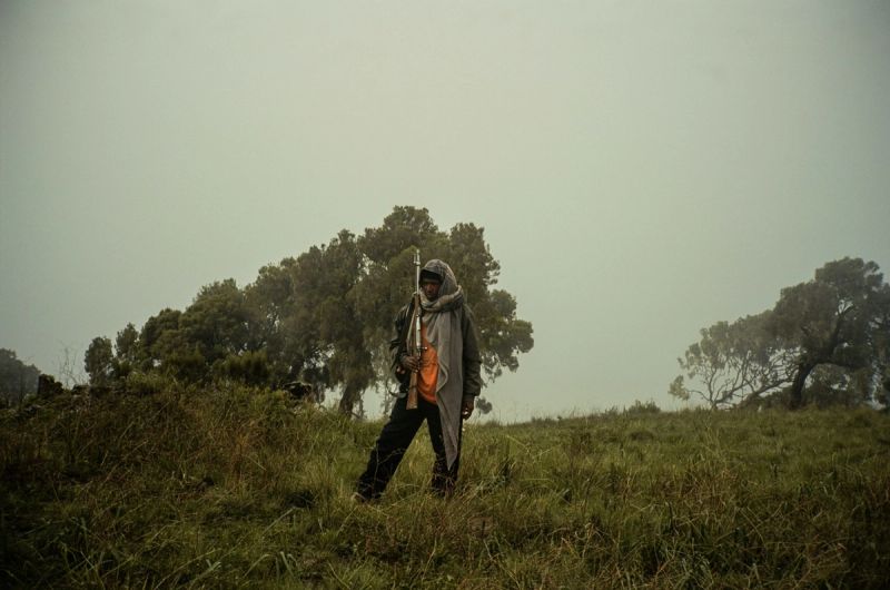 Person holding rifle in misty grassy field with trees, likely Ethiopia landscape.