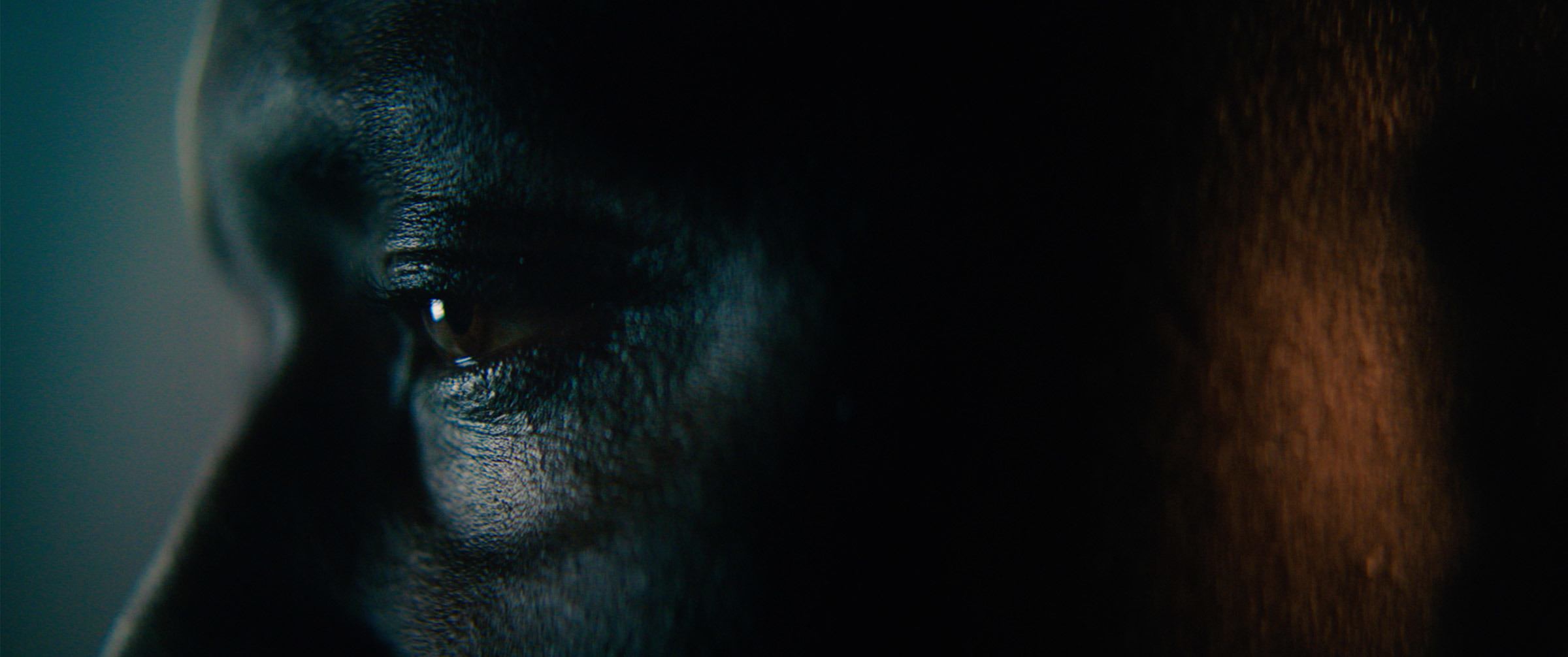 Close-up profile of a man's face in dramatic shadow and warm light for Jaguar Rogue Moments.