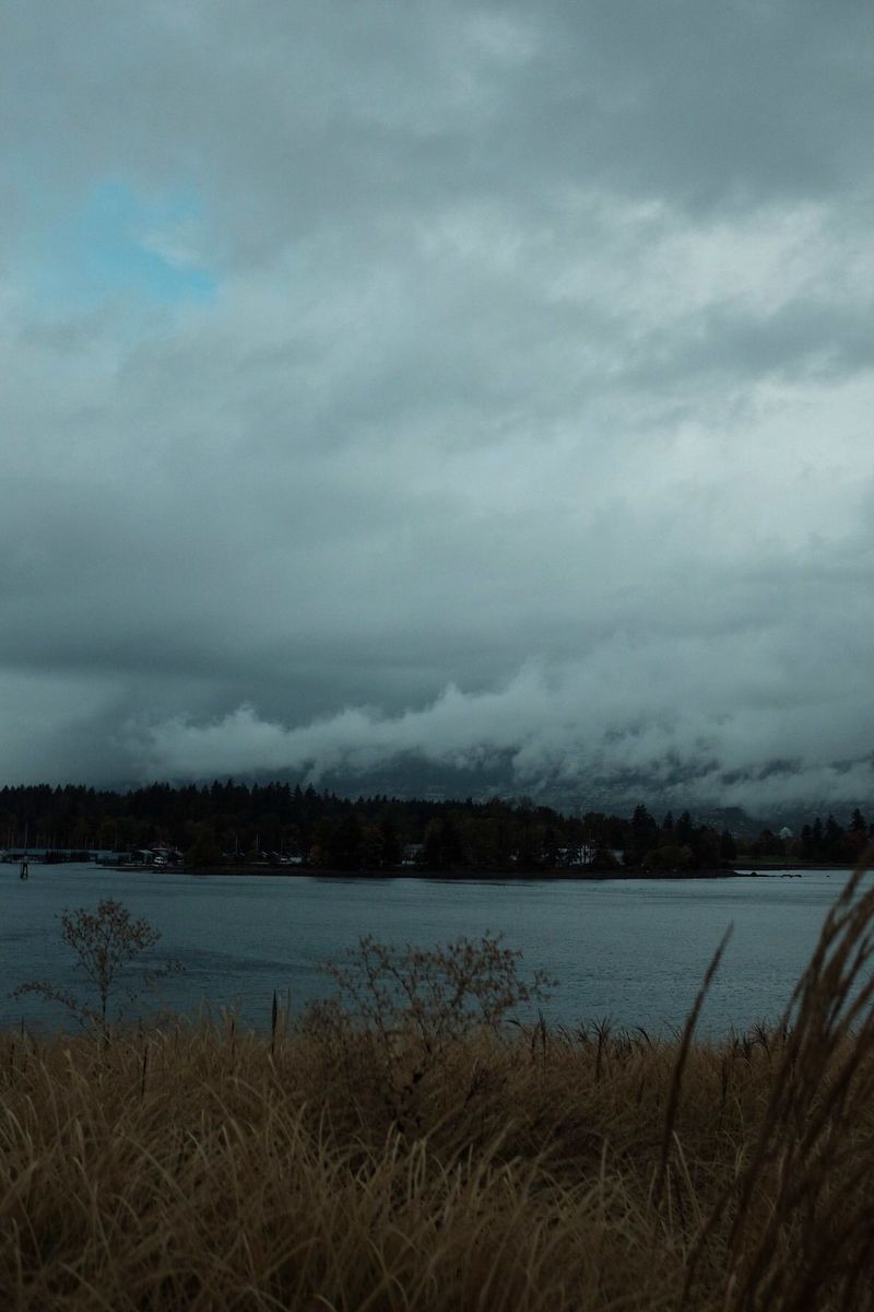 Overcast sky and misty mountains over a calm lake with tall grass in foreground