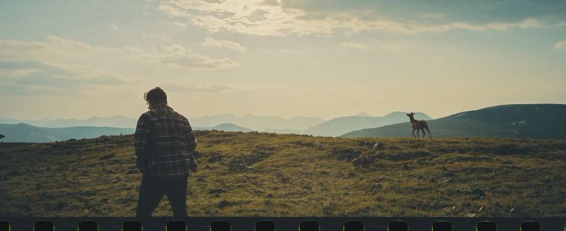 A man stands on a grassy ridge looking at an elk in the distance with mountains.