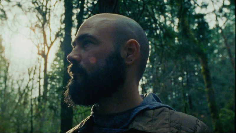 Bald man with beard in forest, gazing upward at dappled sunlight