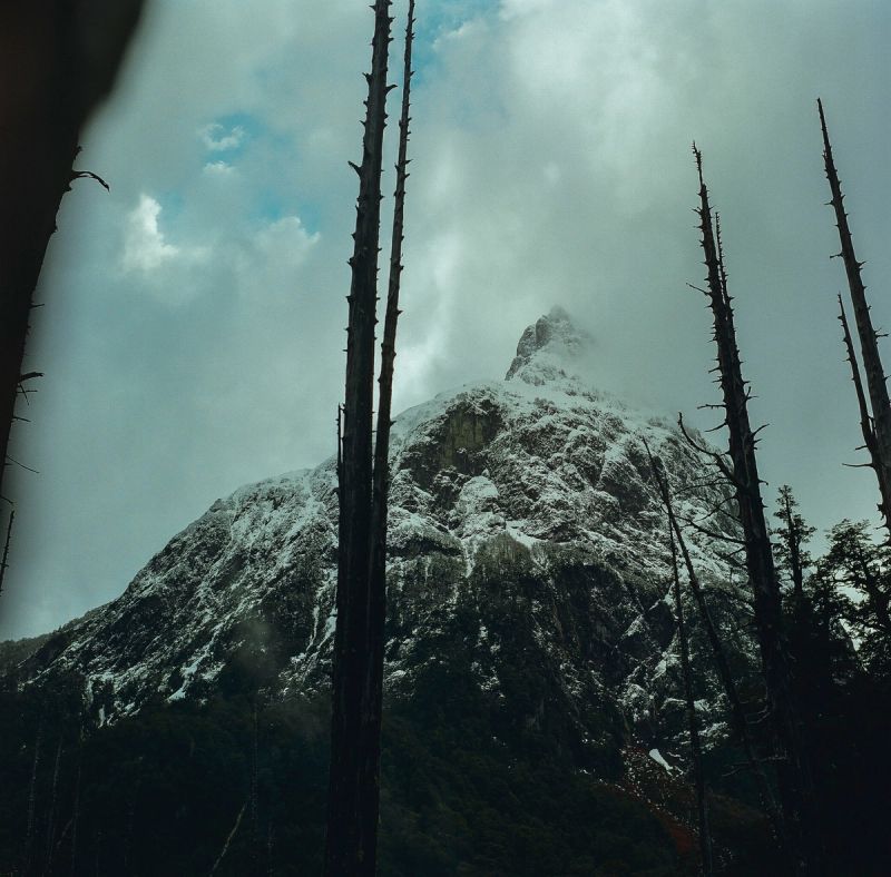 Snow-capped mountain peak framed by dead trees under cloudy skies, commercial film photography in Patagonia.