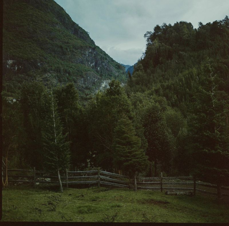 Cinematic film photography of a lush green valley with wooden fence and forested mountains in Patagonia.