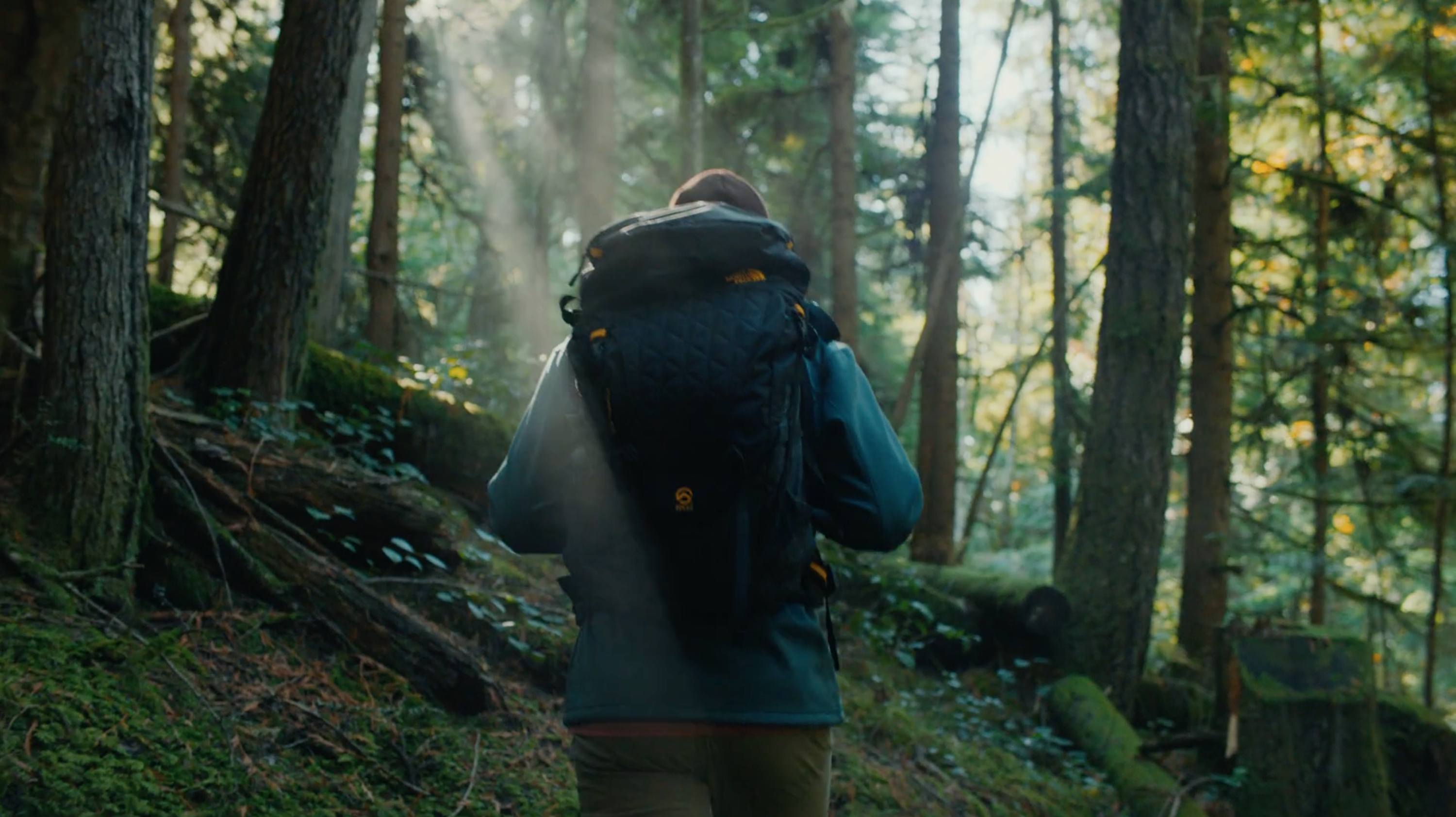 Hiker with large backpack walking through sunlit forest trail