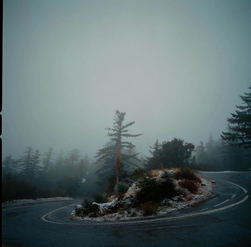 A misty, winding road curves around a snowy island of vegetation with evergreen trees in the background.
