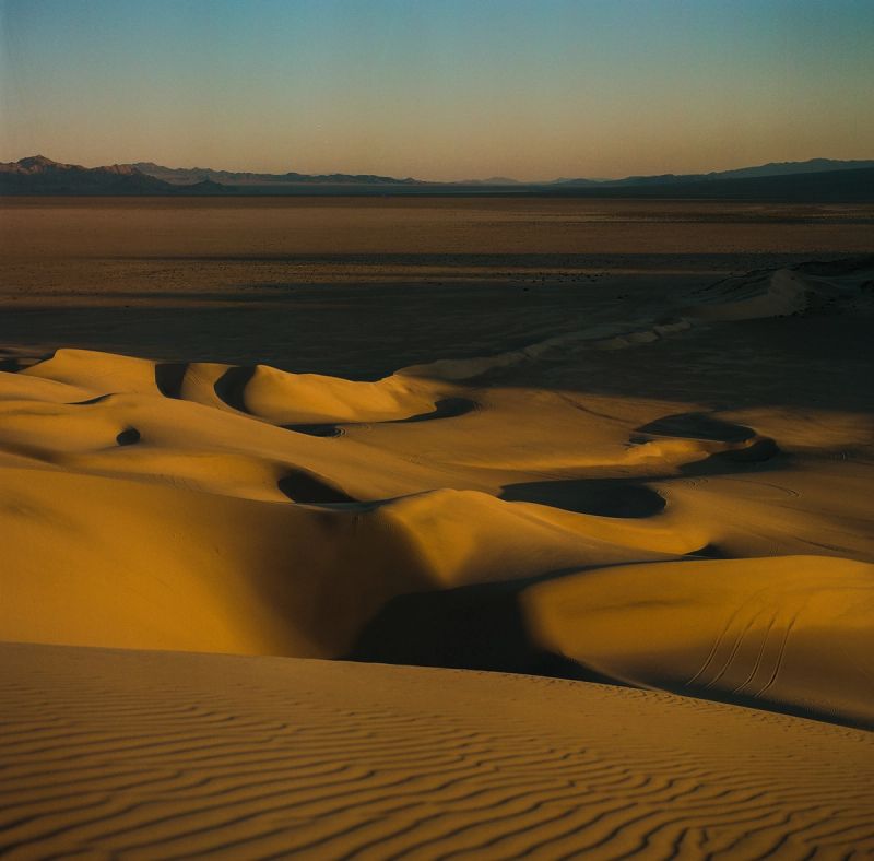 Golden sand dunes with soft shadows under warm light in a desert landscape