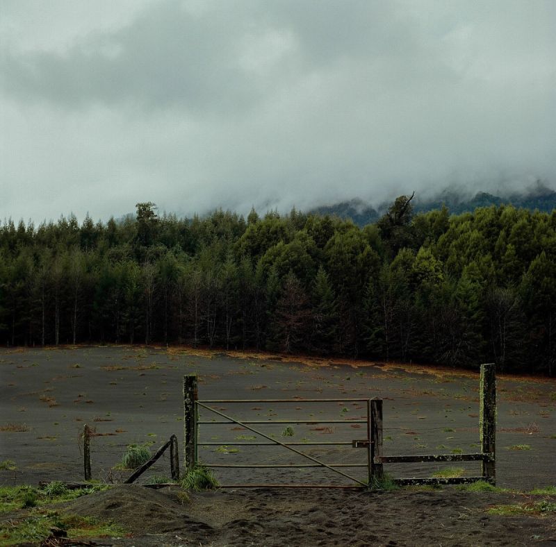 Atmospheric landscape with a rustic metal gate in foreground, dense pine forest background under cloudy skies.