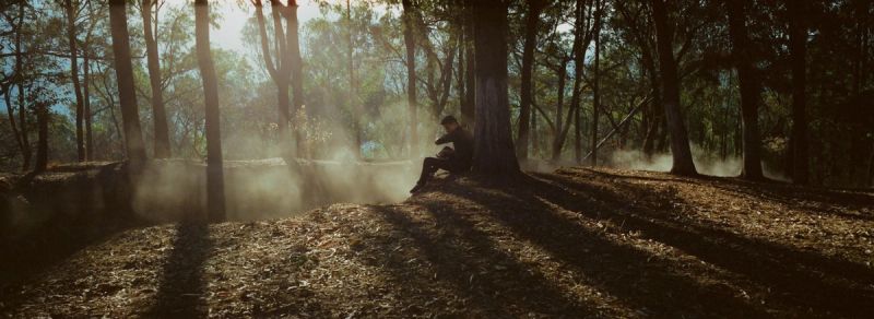 Solitary figure rests under a tree in a sun-dappled forest with swirling dust, captured on film.