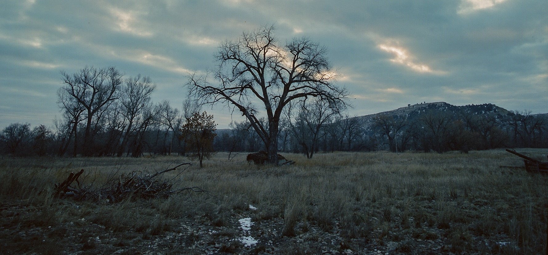 Ian Rigby DP ian rigby cinematographer yellowtail keenan wetzel montana film