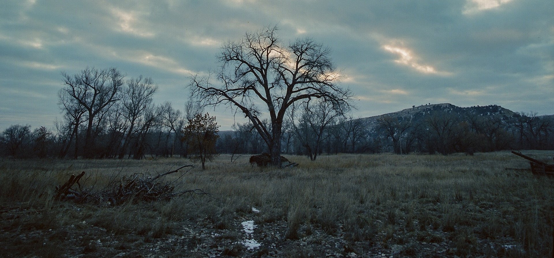 Ian Rigby DP ian rigby cinematographer yellowtail keenan wetzel montana film