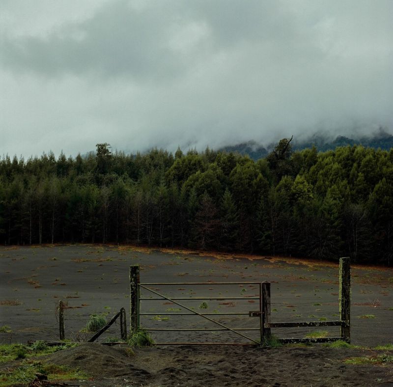 A wooden gate stands before a dark, flat field leading to a dense forest under low-hanging clouds in Patagonia.