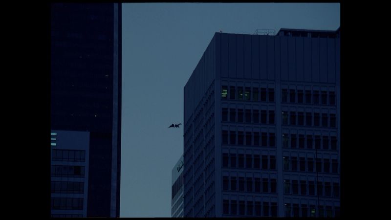Silhouette of a figure gliding between city skyscrapers at dusk