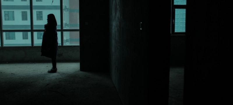 Silhouette of a person standing in a dark interior looking out large windows at urban buildings.