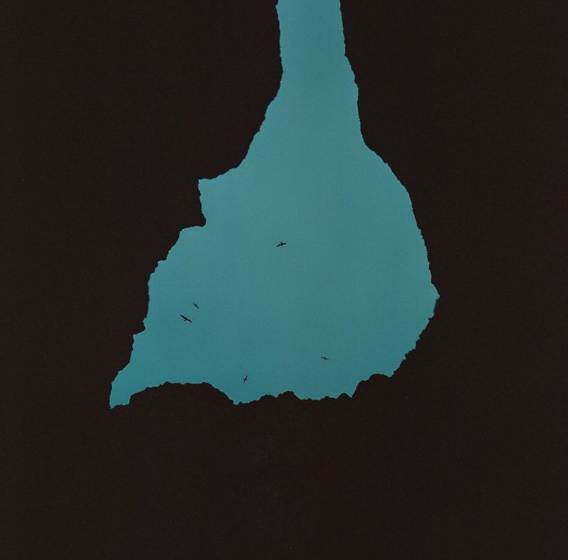 Teal silhouette of Iceland against a dark background featuring silhouetted birds in flight.