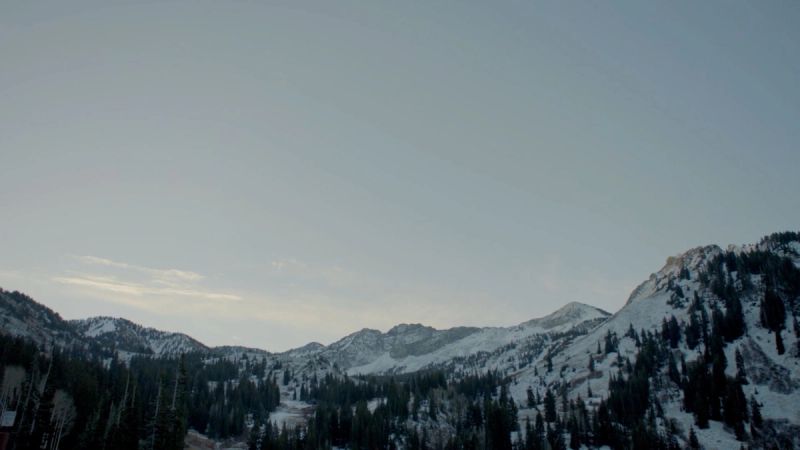 Snowy mountain range with evergreen trees under soft sky