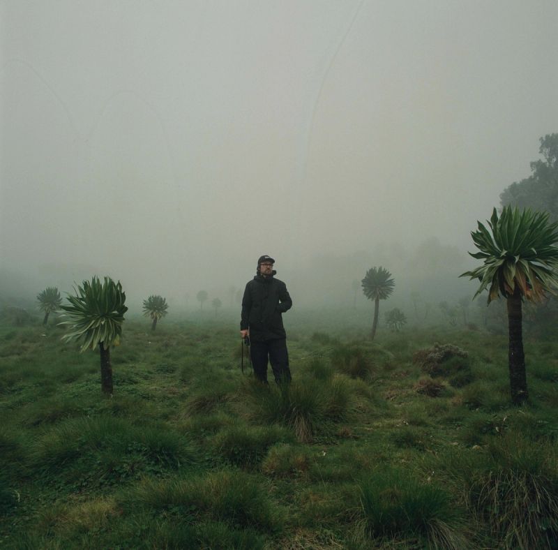 Man stands in misty field with palm-like trees, foggy landscape