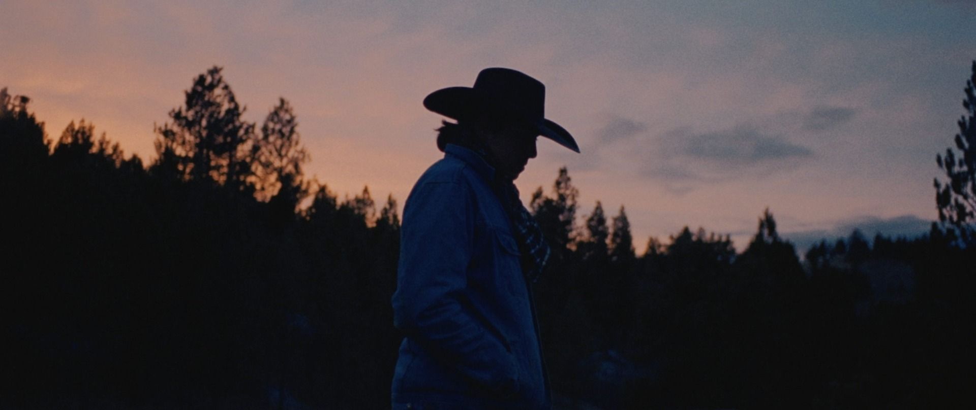 Silhouette of a person in cowboy hat against twilight sky with trees