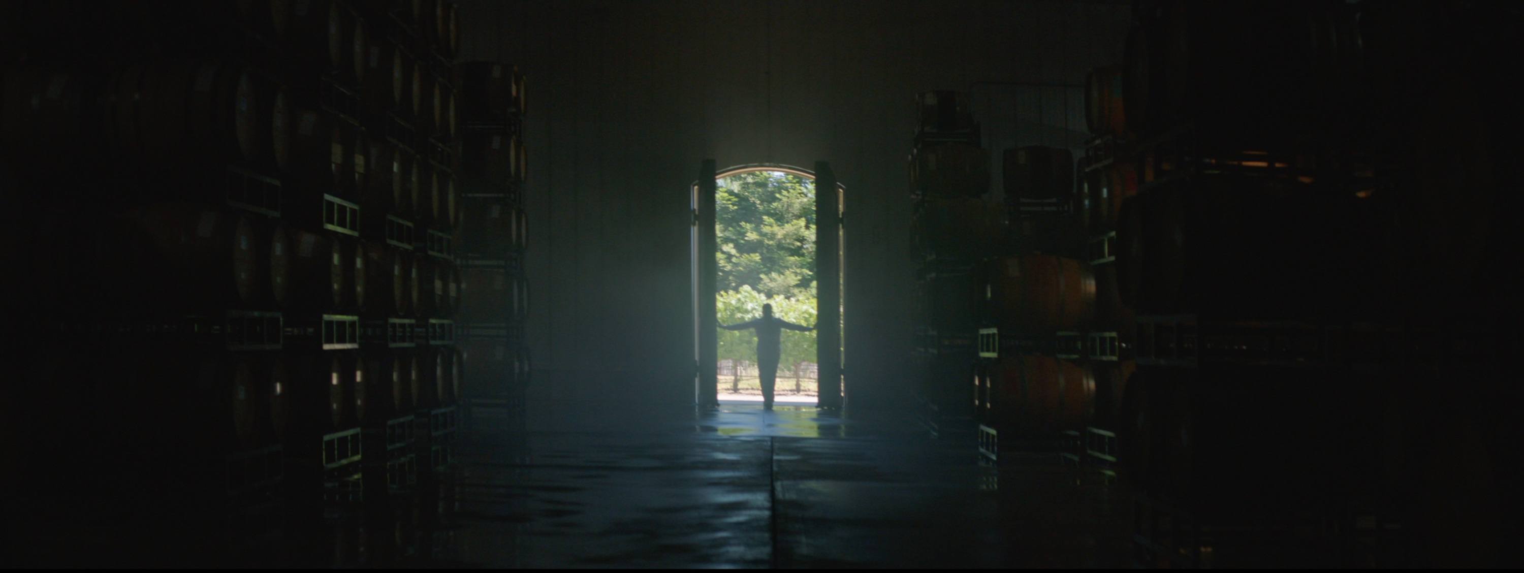 Silhouette of person standing in doorway with bright natural light, flanked by stacked wine barrels in dim cellar