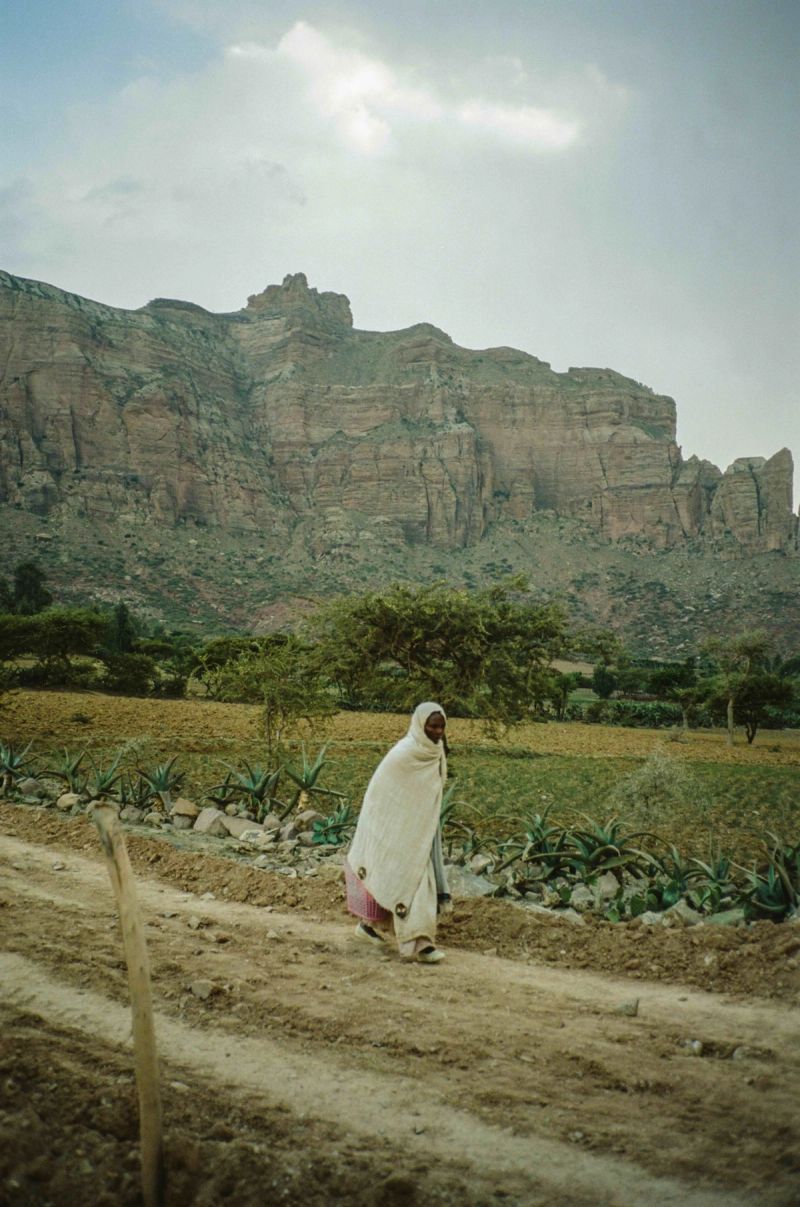Woman walking along a dirt path past aloe fields with massive layered rock cliffs in the background.