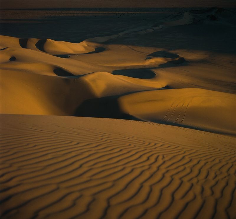 Golden sand dunes with rippled texture and deep shadows at sunset