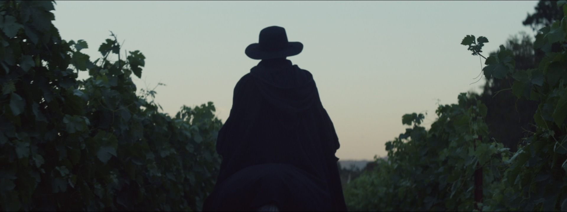 Noble Vines “Stolen From Kings”