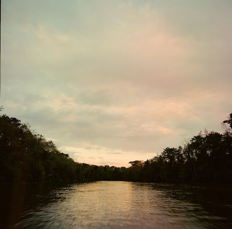 River flowing through dense forest at sunset with soft sky.