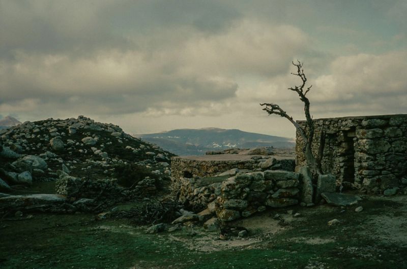 Overcast sky above ancient stone ruins and a dead tree on a rocky Greek island landscape.