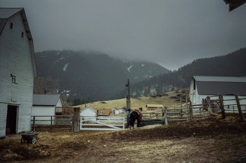 A person leads a horse through wooden fences on a farm with mountains in the background.
