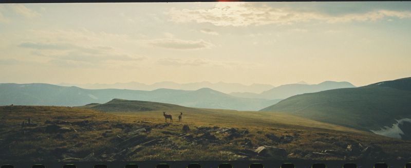 Two deer stand on a grassy ridge overlooking layered blue mountain ranges under a hazy sky.