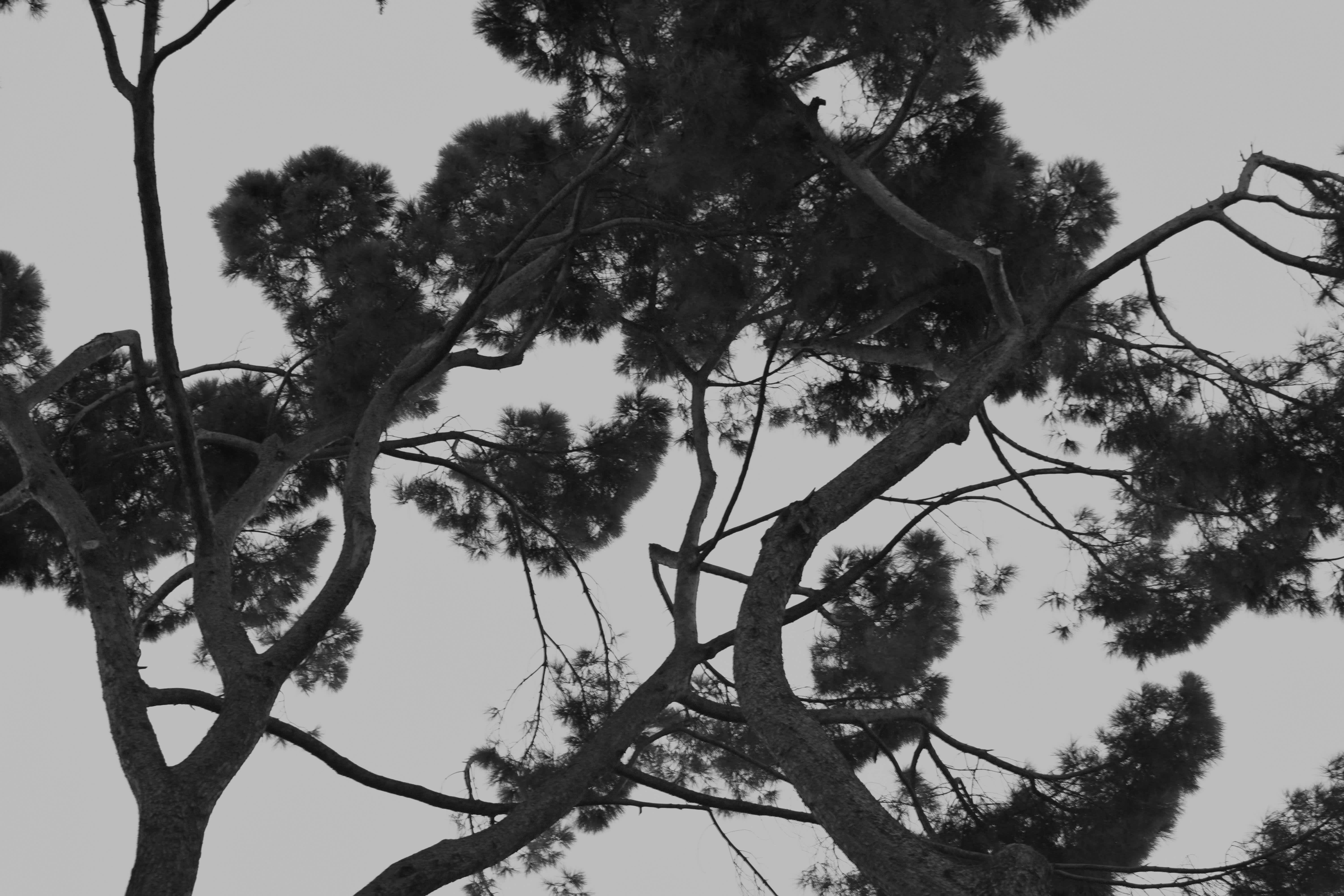 RETIRO I