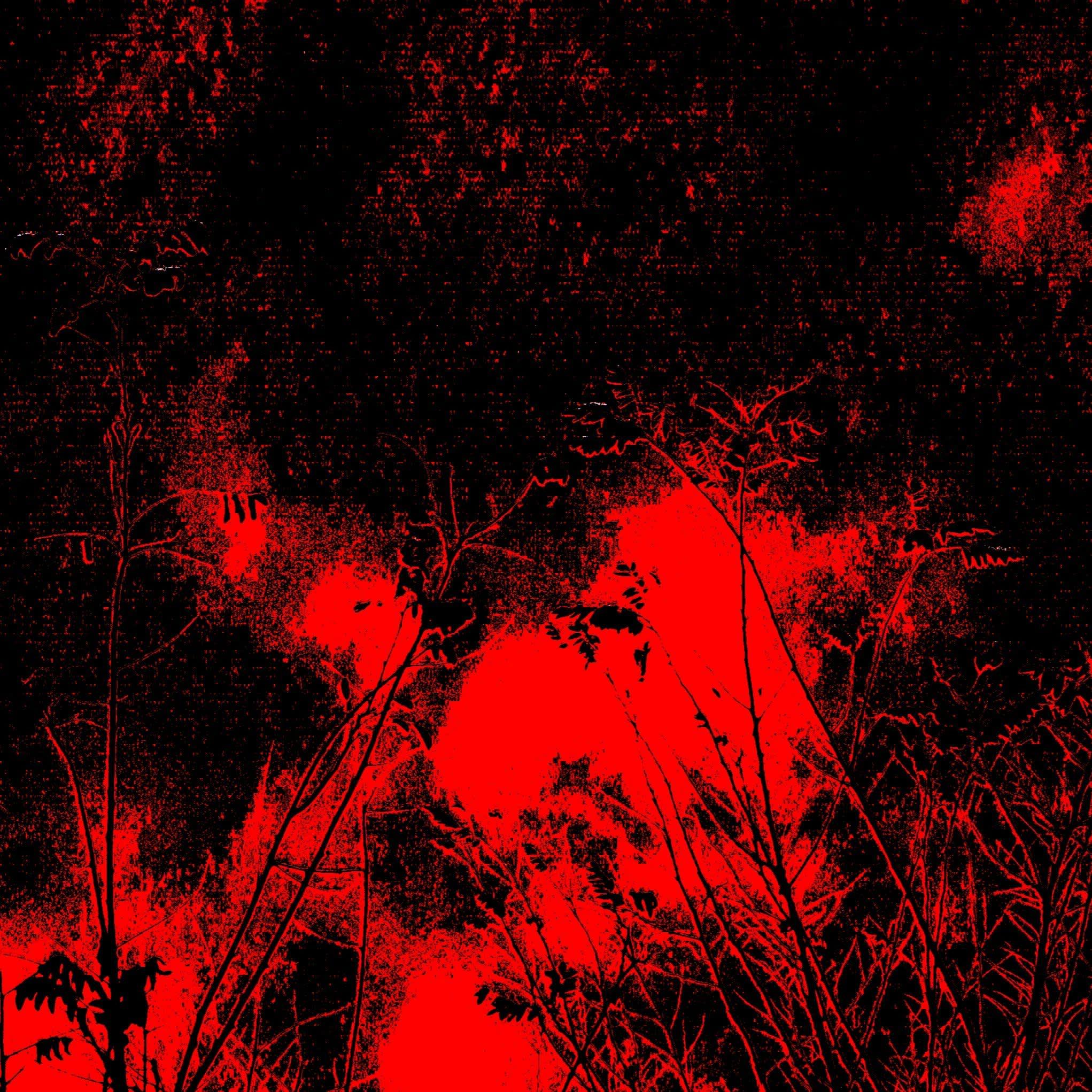FOTOGRAFÍA EXPERIMENTAL