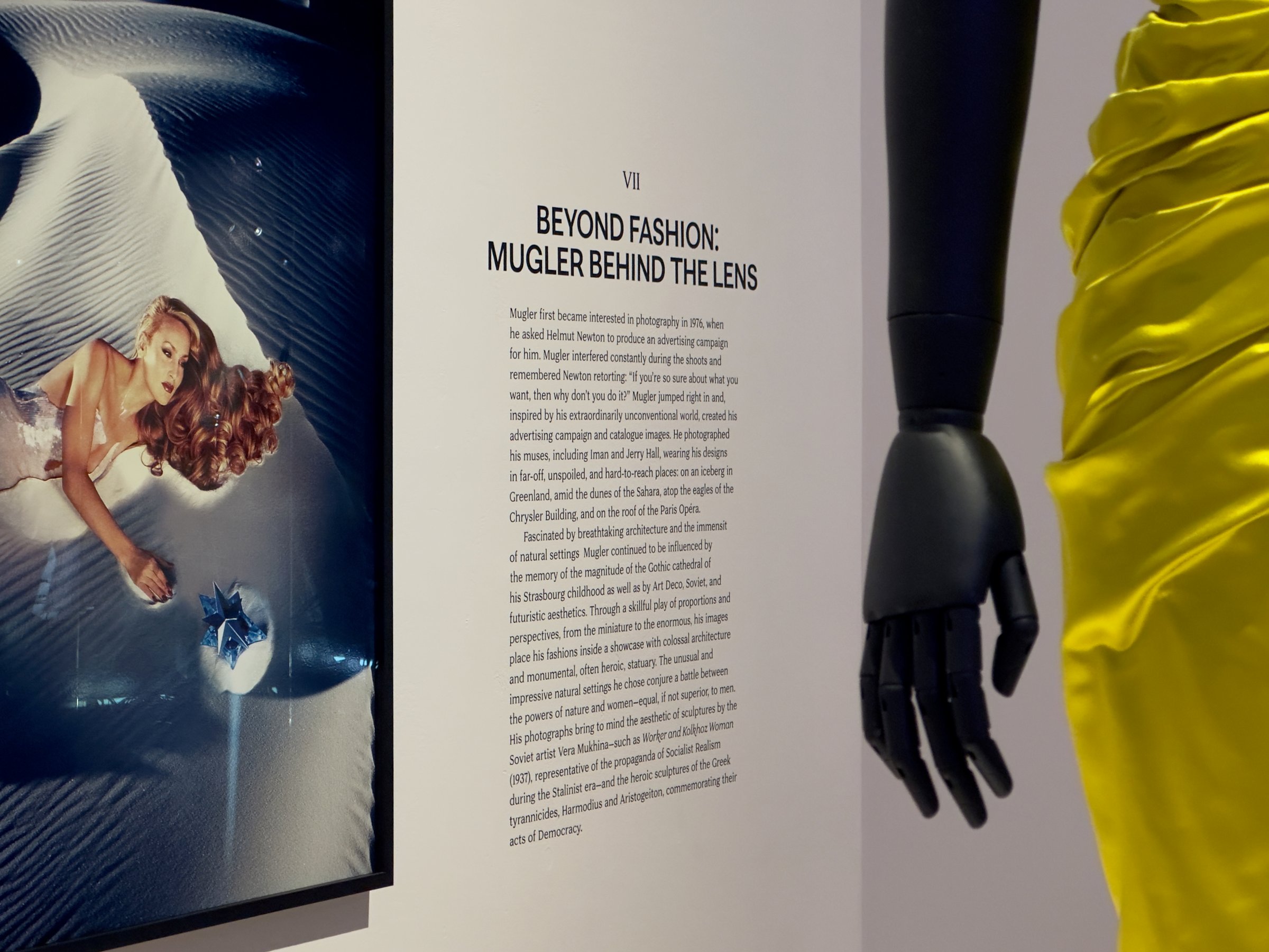 Section introduction