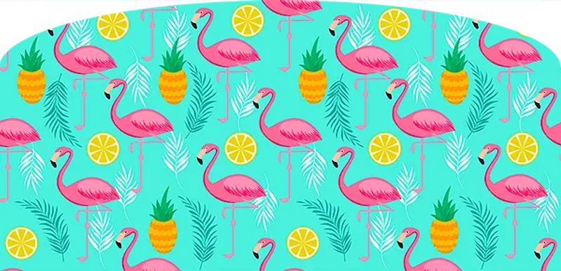 Fond FLAMINGO ! — fond photo