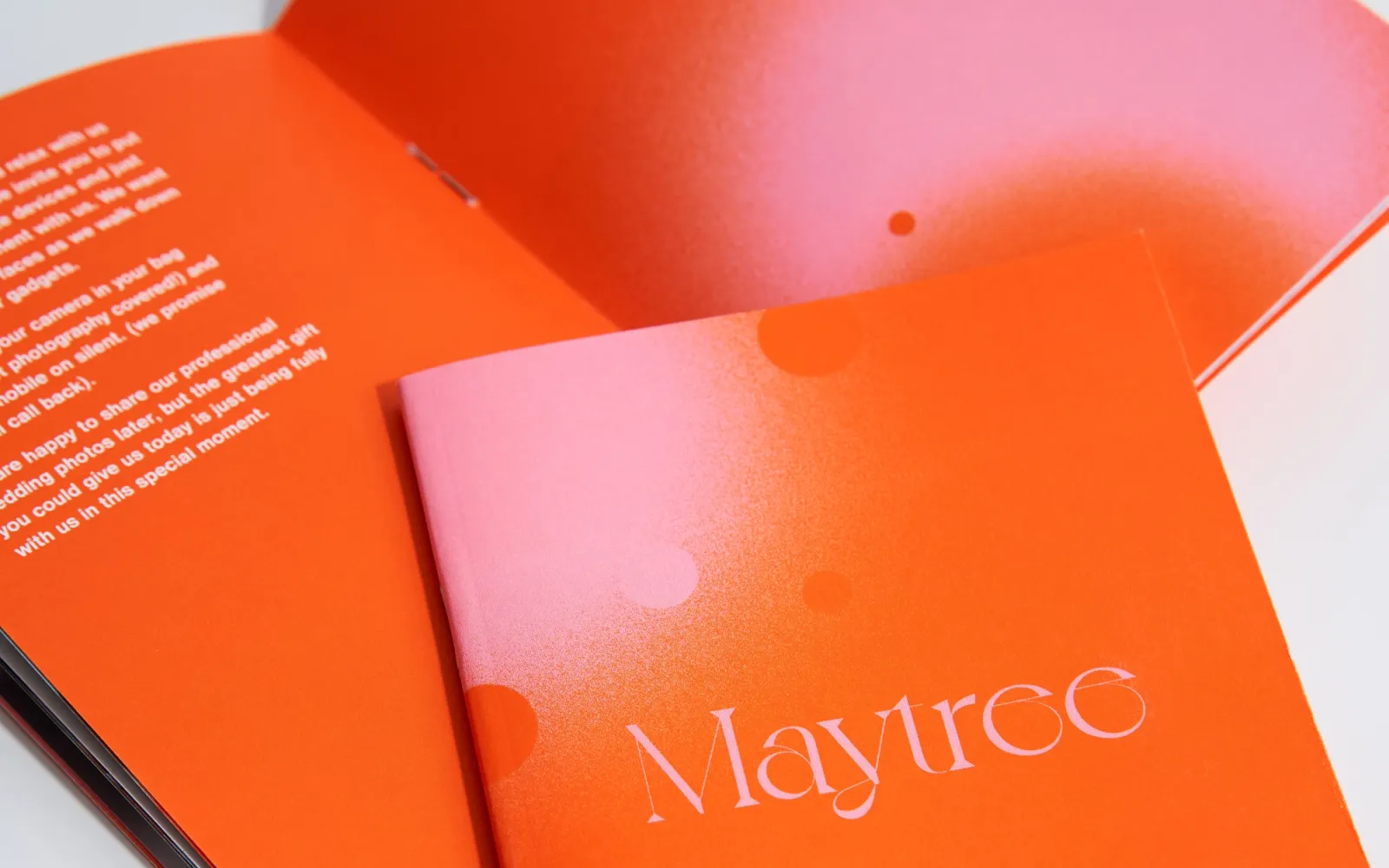 Maytree Photography — Branding