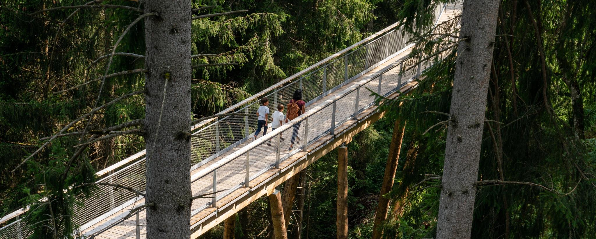 Familie auf den Baumwipfelpfad