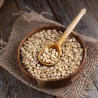Orzechy cedrowe 500 g — miniatura 4