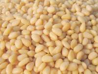 Orzechy cedrowe 500 g — miniatura 1