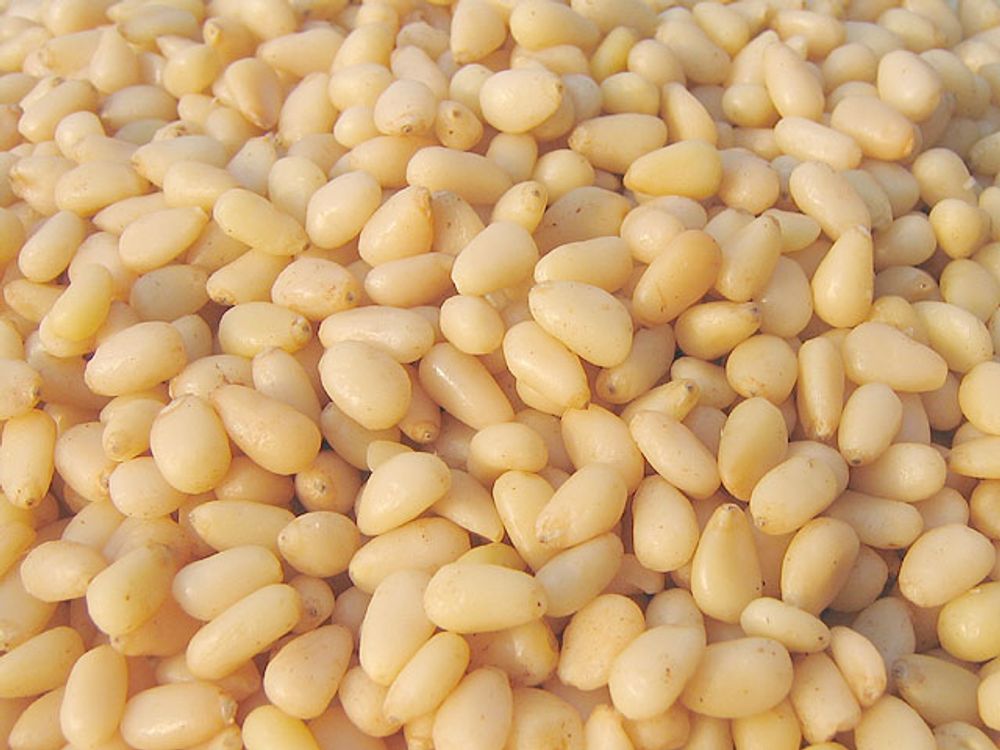 Orzechy cedrowe 500 g