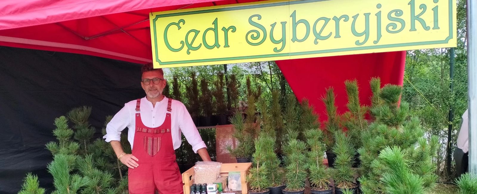 Zamów sadzonki!