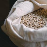 Orzechy cedrowe "Megre" 100 g — miniatura 1