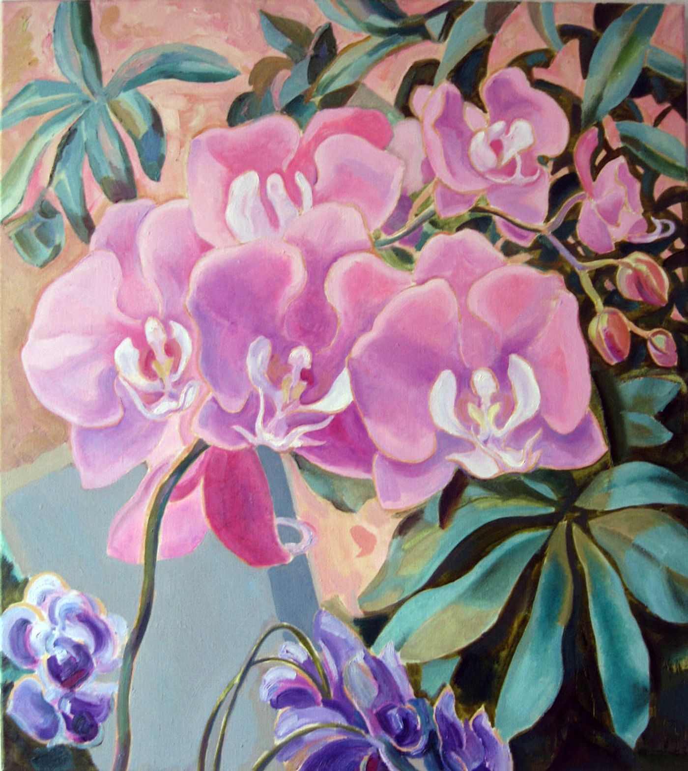 Rose orchids