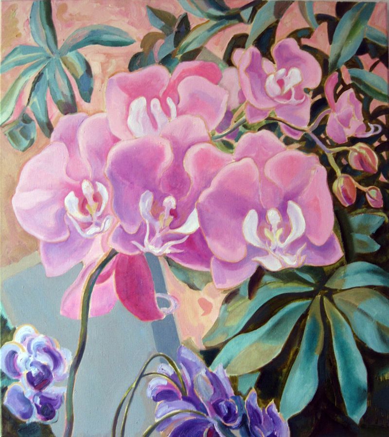 Rose orchids