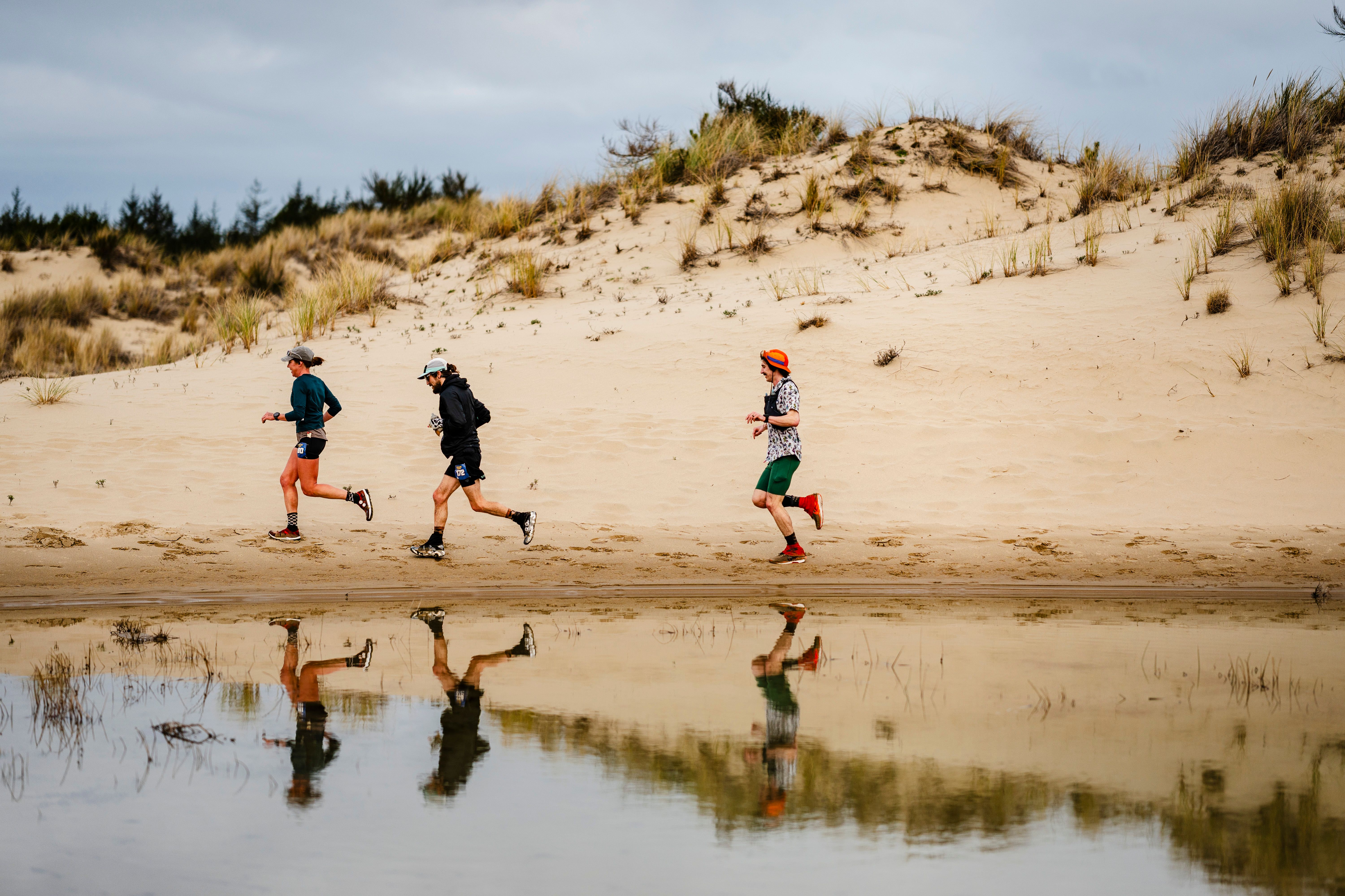 Siuslaw Dunes
