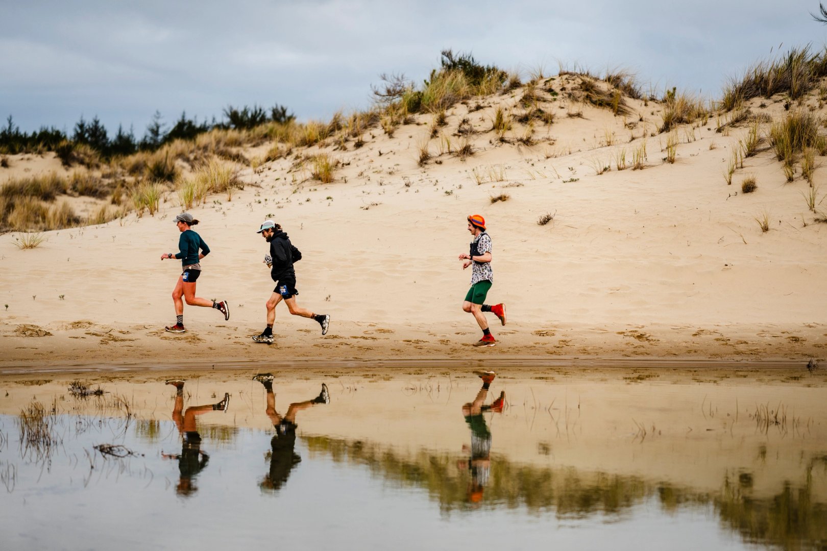 Siuslaw Dunes