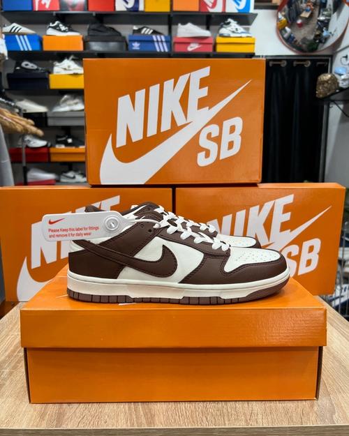 Nike SB brown